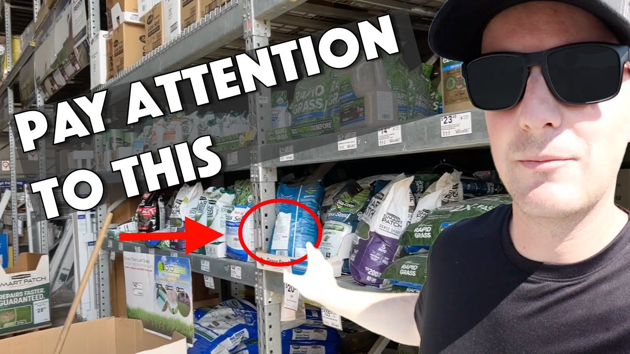 You HAVE TO KNOW THIS About Buying Grass Seed YouTube