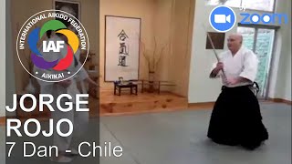 Jorge Rojo Shihan 7 Dan Zoom Aikido Class (Chile) - IAF campaign