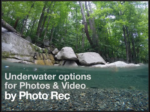 Underwater Photo and