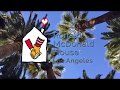 Provide enthusiasm  los angeles ronald mcdonald house