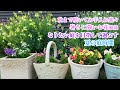 【玄関ポーチ寄せ植え＊華やかで夏から秋まで楽しむお花】【液肥&活力剤を超楽にあげる方法】【庭を素敵に変えていく】【夏庭＊梅&レモンシロップづくり】バラアーチ＊オブジェ