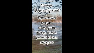 20 ноября Федот Ледостав, приметы #20ноябряфедотледостав #20ноябряприметы #20ноябряпраздники