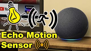 Create Ultrasound Motion Detection Routines on Amazon Echos
