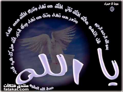 الزوج الابناء الجيران امانة في رقبتك