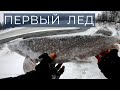 Щучье логово в малом ручье. По первому льду 2021-2022. First icefishing. DF 72