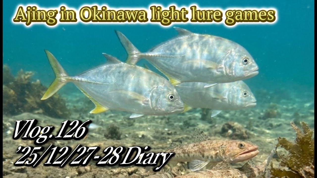 【ルアー釣り】堤防でメッキ・BIGエソ3匹　Vlog.126 '25年12月27日・28日　