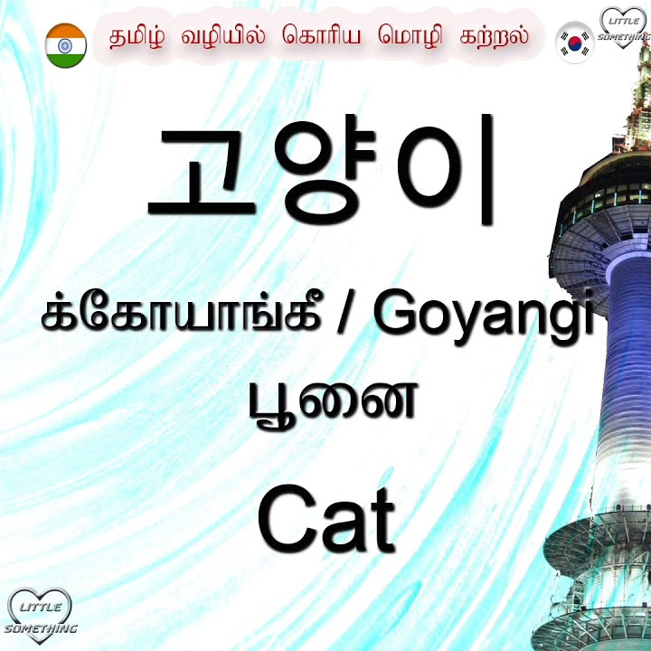 how-to-say-cat-in-korean-learn-korean-through-tamil-daily