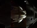 vfx in after effect / recreate ekaki vfx #shorts #vfx