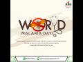 World Malaria Day
