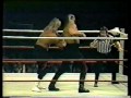 The Road Warriors vs The Fabulous Ones  (11/08/1984)