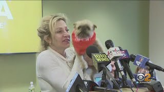 Edie Falco Joins NY Lawmakers To Support Puppy Mill Ban