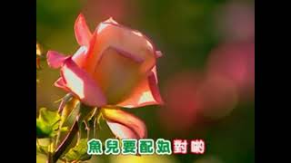 634等情郎