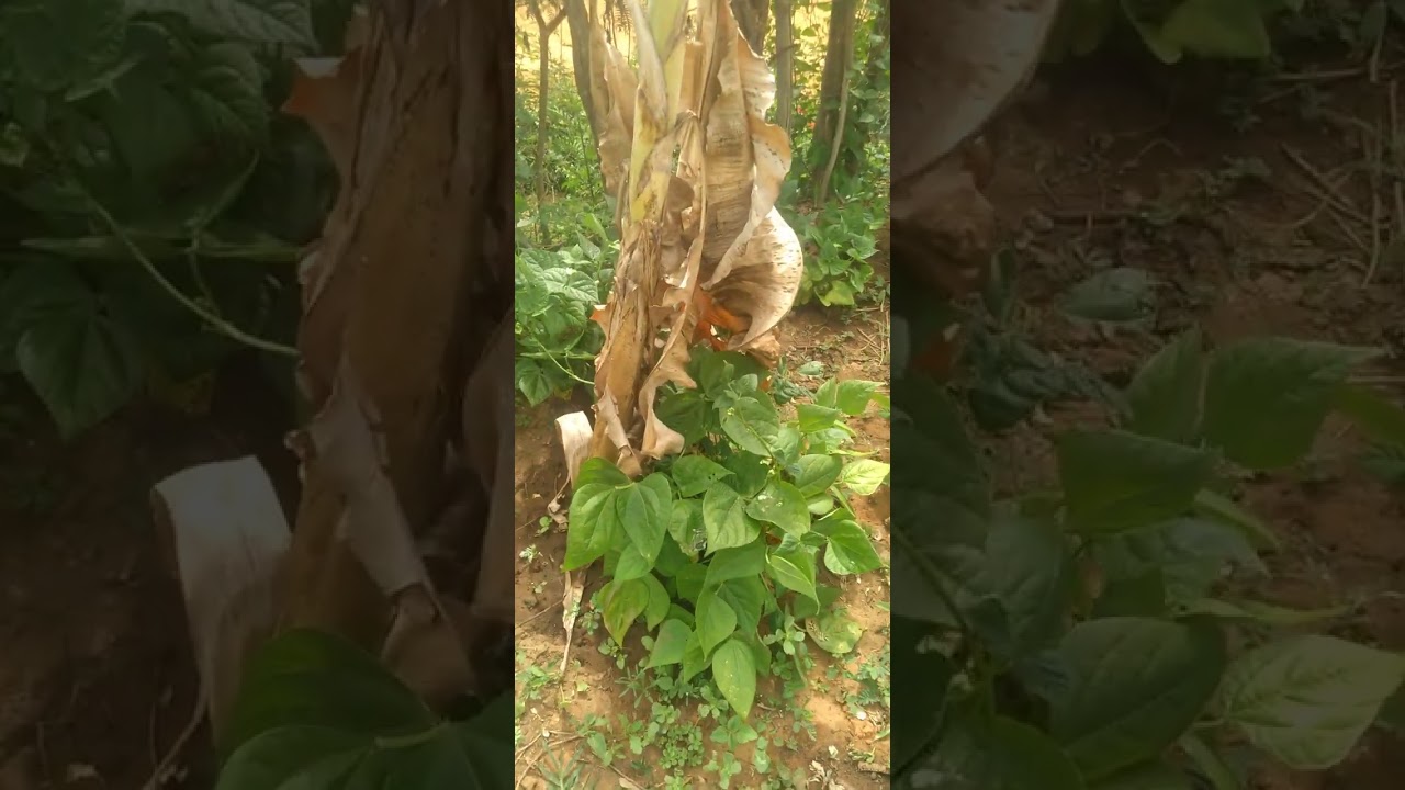 30 de dezembro de 2025