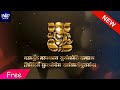 Royal Indian Wedding Invitation Videohive 40417470 Free | After Effect Videohive Project – J4UVFX