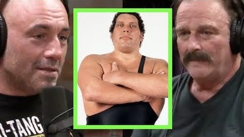 Joe Rogan - Jake The Snake on Andre the Giant