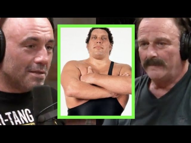 Watch Online or Download Joe Rogan - Jake The Snake on Andre the Giant Musi...