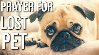 Prayer For Lost Pet  Prayer For A Lost Animal Prayer For Lost Pet To Return Home