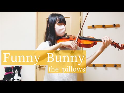 『Funny Bunny』-the pillows　ヴァイオリン　弾いてみた