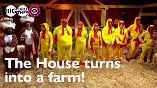 Its foxes versus chickens in fun farmyard Task | Big Brother 2023