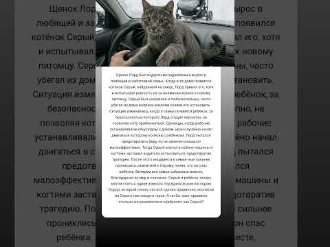 🚨 #Щенок И #реальнаяистория #Котёнок вместе спасли ребёнка! Настоящая #собака #история