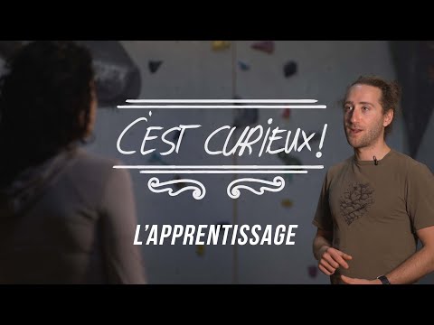 Vidéo: Qui est un apprenant curieux ?