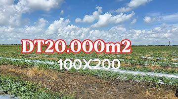 Cần bán DT20.000m2 đất - 100X200 - giá 150 triệu /1000m2 