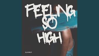 Feeling so High (Extended Mix) Profile