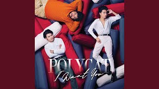 เวลาเธอยิ้ม (Live in Polycat I Want You Concert)