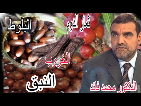 الدكتور محمد فائد فواكه غابوية البلوط النبق الخروب تمار الدوم أغاز لا يعرفها الناس وهي علاجية