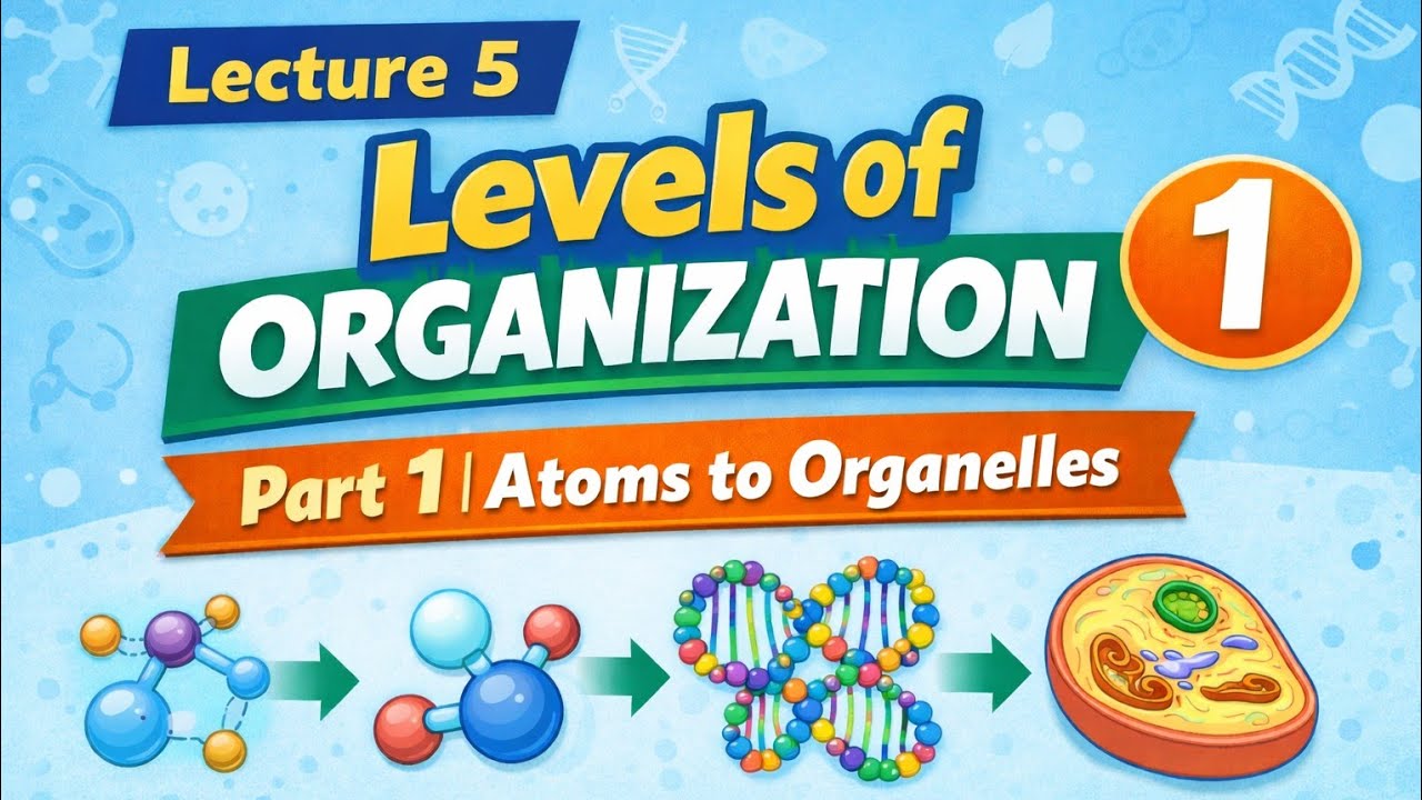Lecture 5: Levels of Organization – Class 9 Biology | Part 1 | Atoms to Cells
