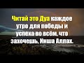 Читай это Дуа каждое утро для победы и успеха во всём, что захочешь, Инша Аллах.