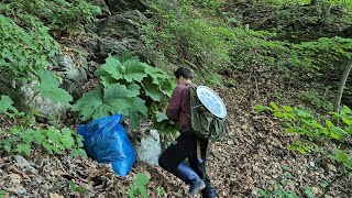 진정한 밥도둑 말고 돼지고기 도둑 한장만 있으면 온 가족이 먹습니다