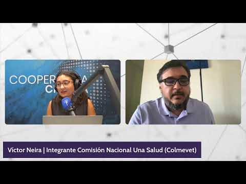 Plan de vigilancia en la Antártica detecta Influenza Aviar Altamente Patogénica