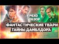 ГРЕХО-ОБЗОР "ФАНТАСТИЧЕСКИЕ ТВАРИ ТАЙНЫ ДАМБЛДОРА" | ВСЕ ГРЕХИ И ЛЯПЫ ФИЛЬМА "ТАЙНЫ ДАМБЛДОРА"