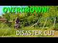 OVERGROWN DISASTER CUT - LEAF LOADER CATASTROPHIC FAILURE -  VOICE OVER OF LAWN CARE WAR STORIES