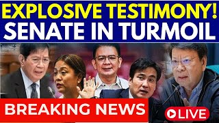 Philippines Live Senate Blue Ribbon Committee Investigates Flood Control Projects Manila Live