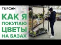 Как и где я покупаю цветы для своих курсов