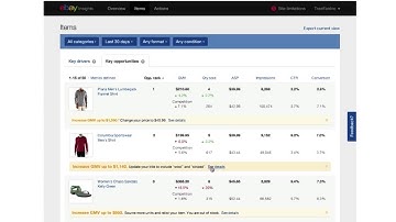 eBay Insights intelligence tool - Demo Video
