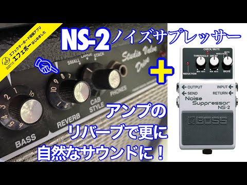 第2187回 完結編！NS-2はリバーブとセットで最強に😁【エビーロードの