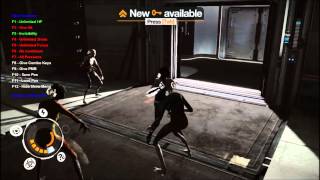 Rememberme V1.0.2 Flt Trainer