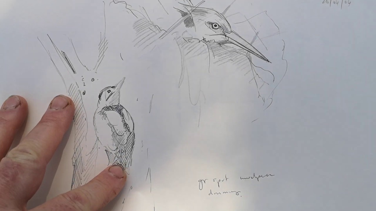 Derek Robertson  - Field Sketchbook and Studio Sketches 2006