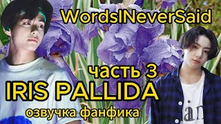 IRIS PALLIDA/ WordsINeverSaid / часть 3-4/ #bts #фанфикибтс #озвучкафф #вигуки #юнсоки