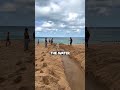 Digging a Pathway from River to Ocean 🌊