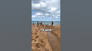 Digging a Pathway from River to Ocean 🌊