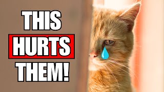 Things That Emotionally HURT Your Cat (Be Careful) by Kitten Munch 71 views 1 month ago 8 minutes, 42 seconds