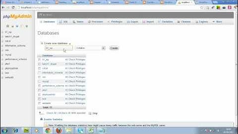 Install Wordpress & other cms on Xaamp / Localhost