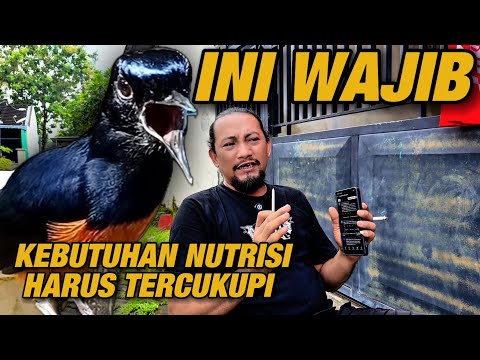 SUARANYA KERAS TIDAK ADA SERAKNYA