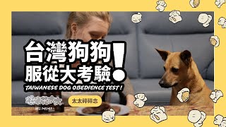 台灣狗狗服從大考驗 // Taiwan Dog Obedience Test《太太碎碎念》