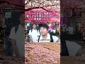 入ったお店に後輩がいて奢らざるを得ないパターンが毎食続いたら？#水曜日のダウンタウン#検証動画#検証#説検証#浜田雅功#松本人志 #shorts #funny #お笑い#面白集#面白い#お笑い芸人