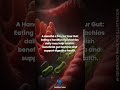 Eating pistachios could boost beneficial gut microbes.mp4